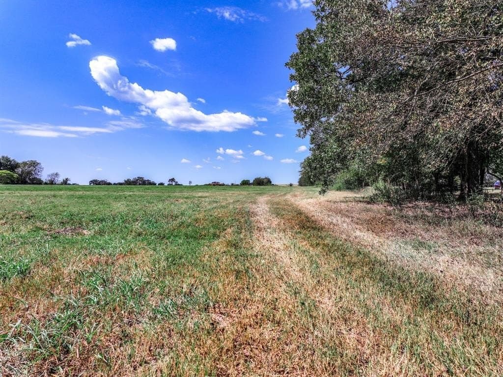 37.5 acres in Wood County - photo 15