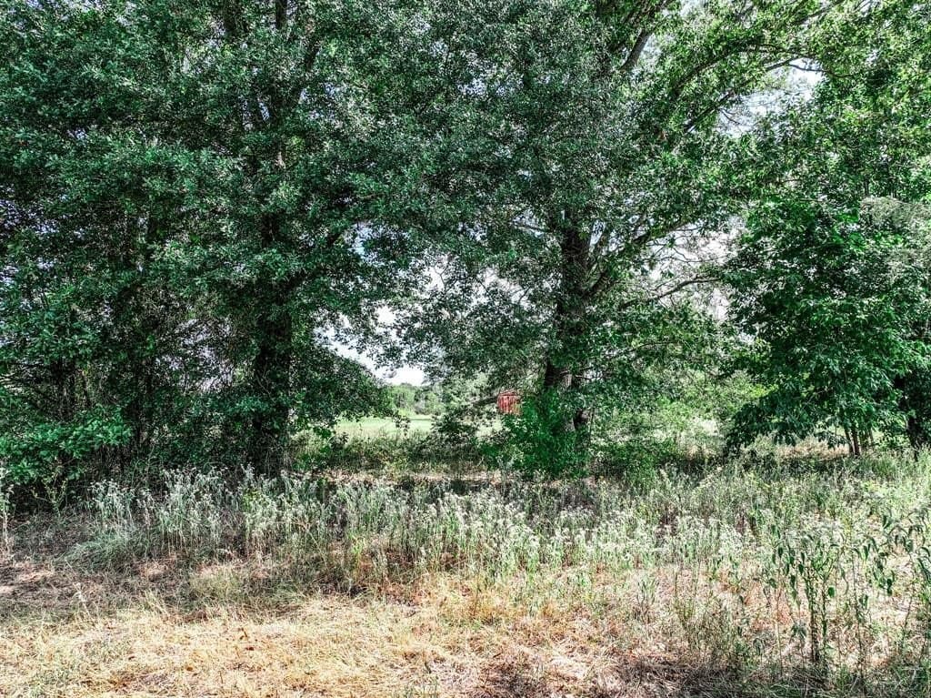 37.5 acres in Wood County - photo 20