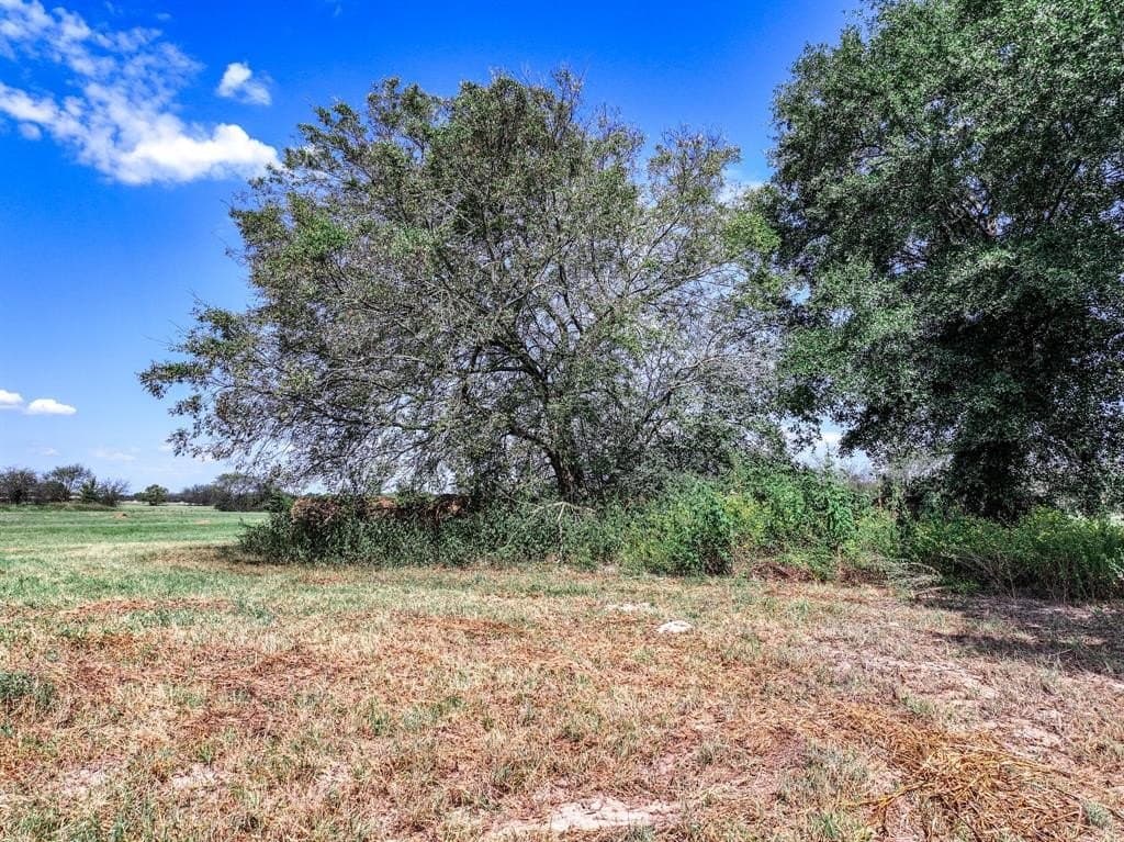 37.5 acres in Wood County - photo 19