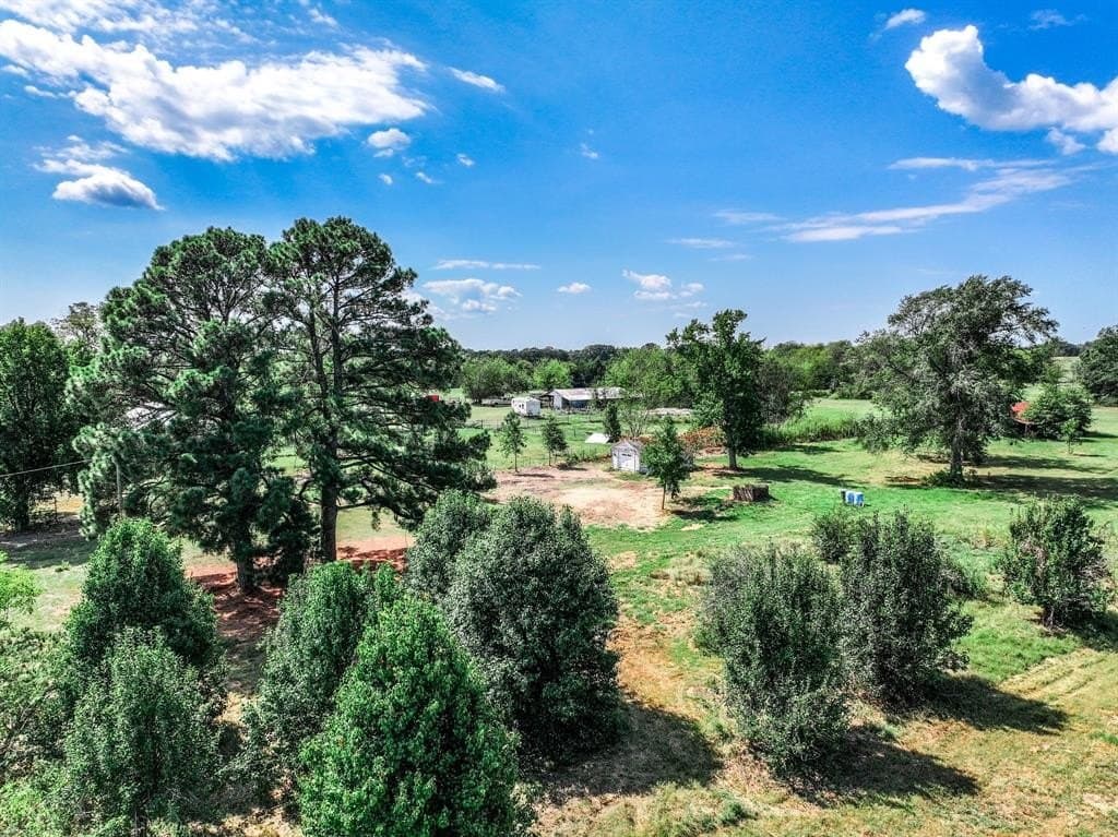 37.5 acres in Wood County - photo 13