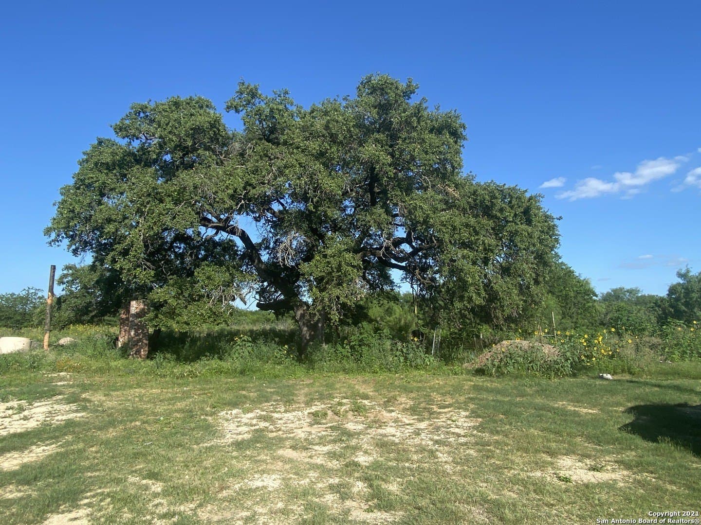 10 acres in Bexar County - photo 5
