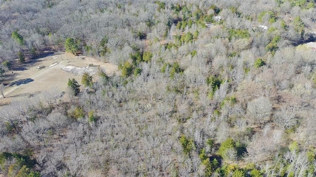 21.01 acres in Titus County - photo 20