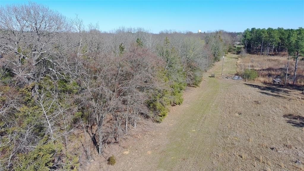 21.01 acres in Titus County - photo 18