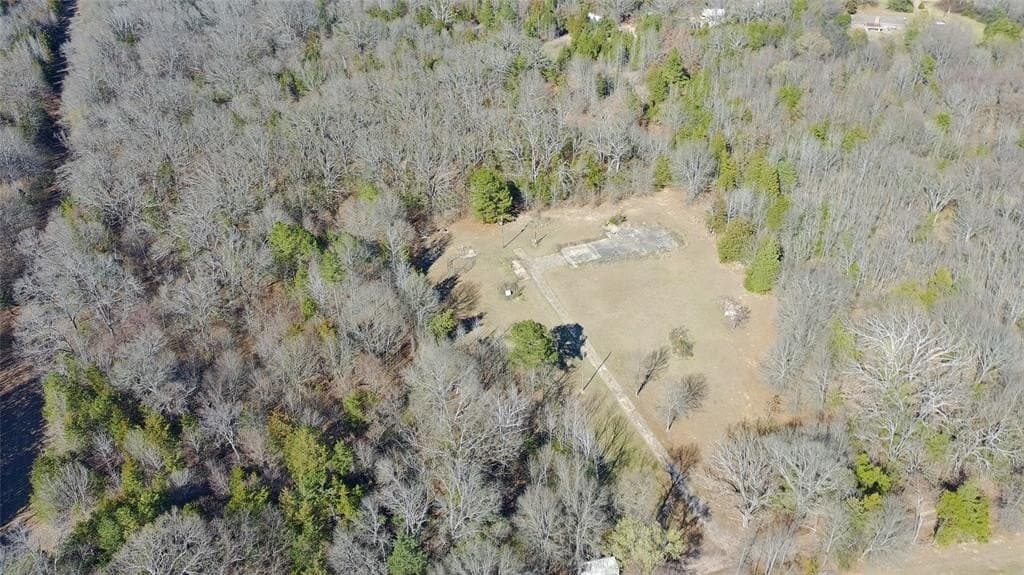 21.01 acres in Titus County - photo 16