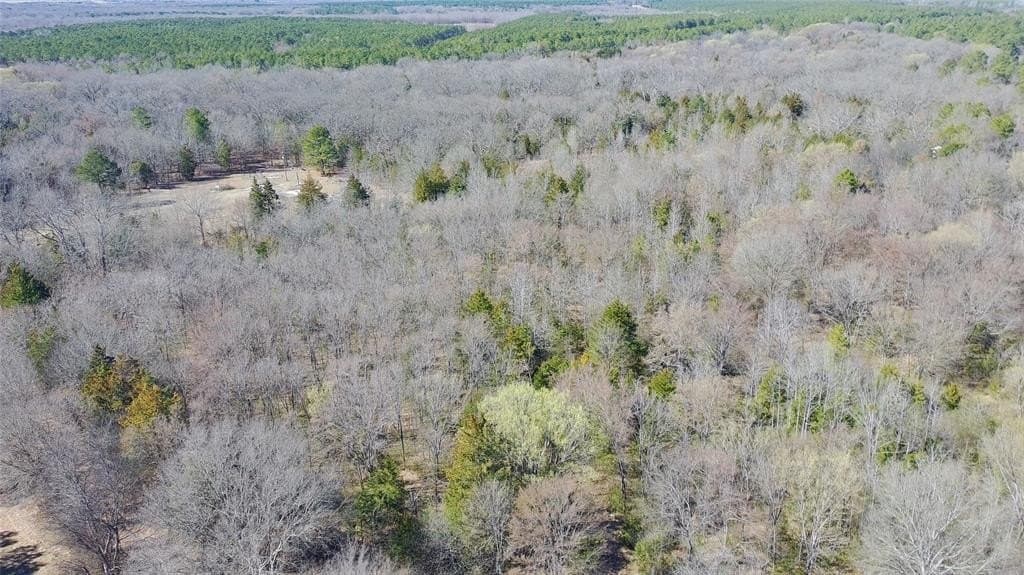 21.01 acres in Titus County - photo 7