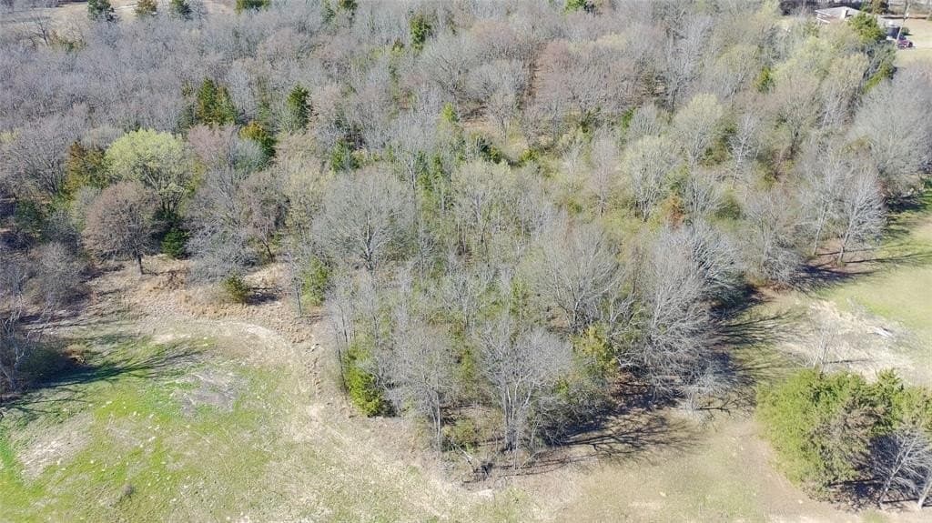 21.01 acres in Titus County - photo 3