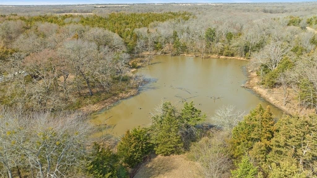 49.48 acres in Lamar County - photo 24