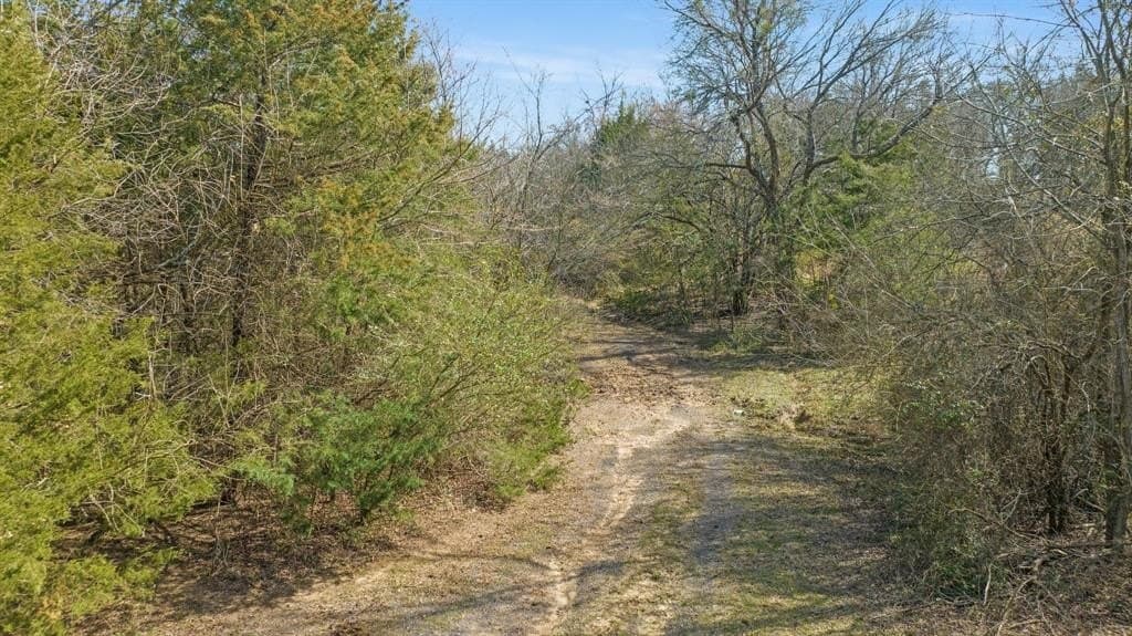 49.48 acres in Lamar County - photo 22