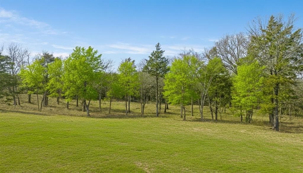 49.48 acres in Lamar County - photo 5
