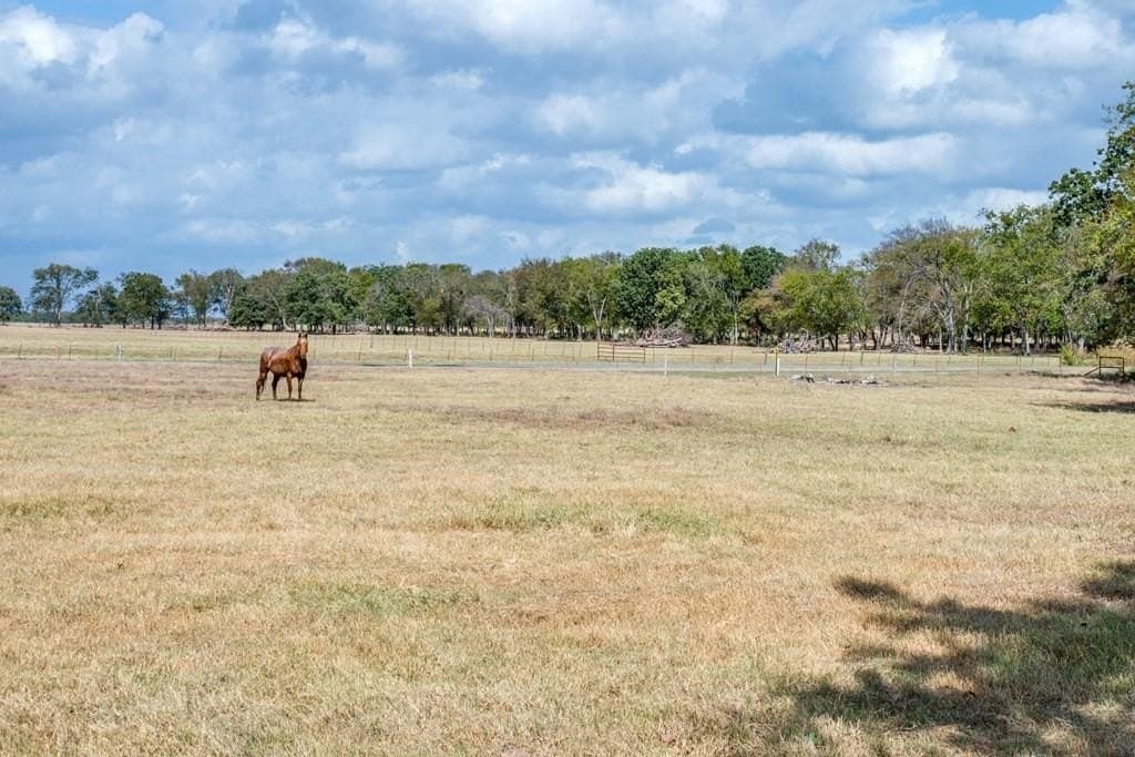 57.51 acres in Van Zandt County - photo 5
