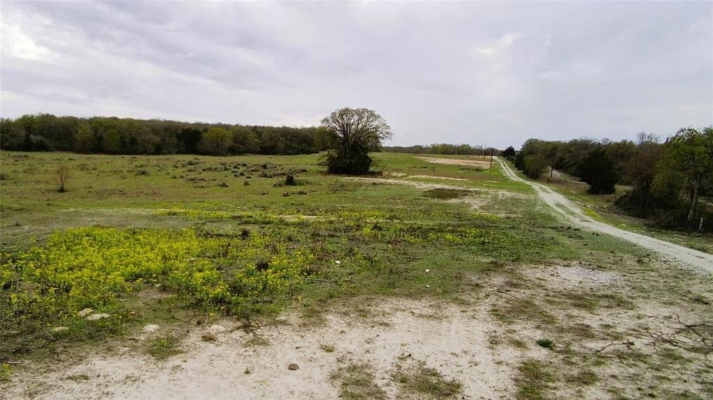 15 acres in Limestone County - photo 11