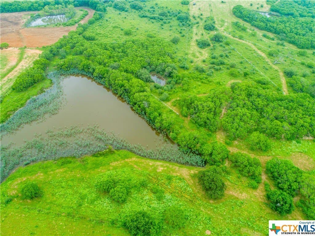 79.37 acres in Bexar County - photo 4
