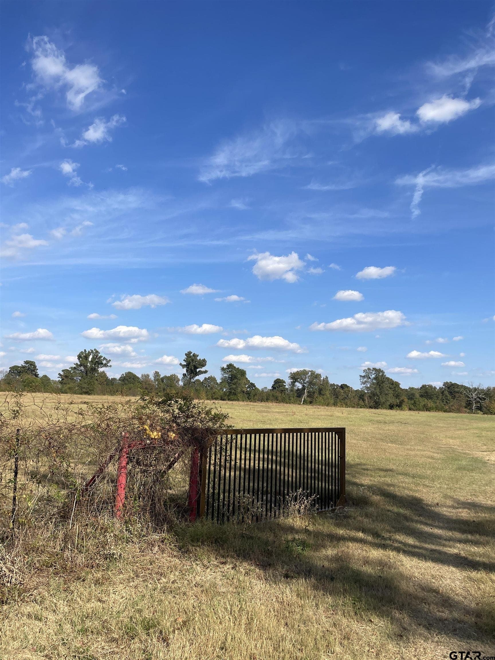 23.12 acres in Camp County - photo 2