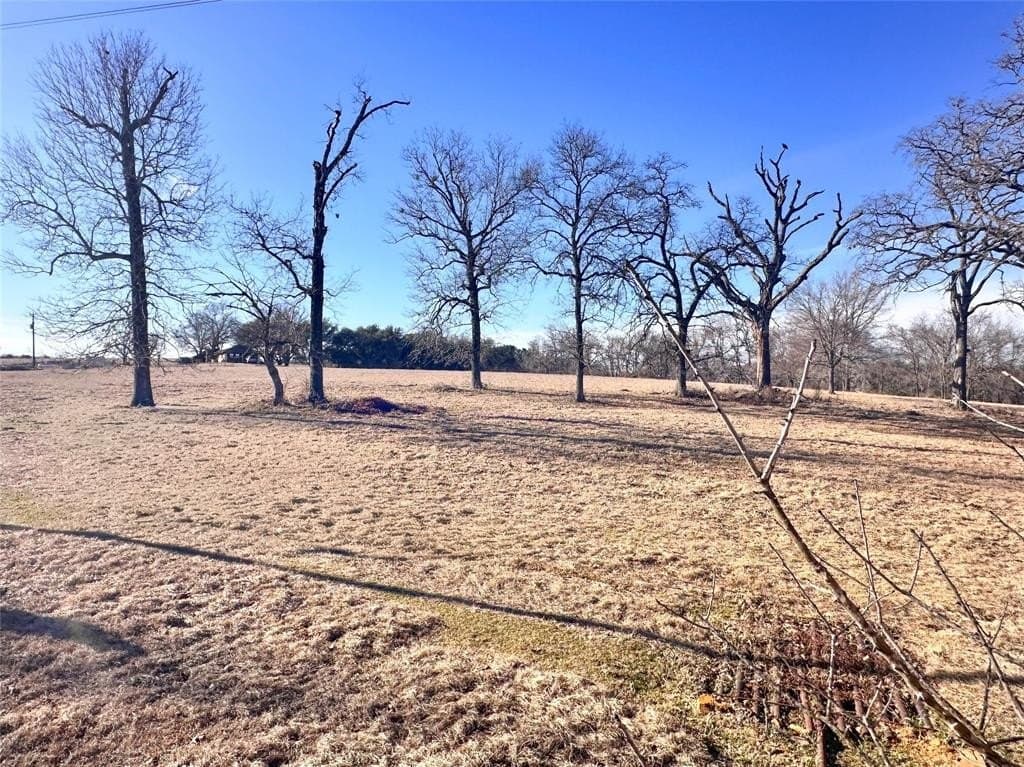 16.7 acres in Henderson County - photo 14