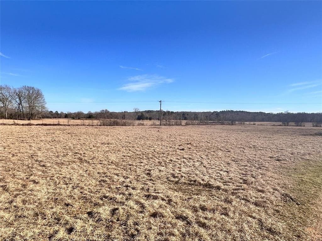 16.7 acres in Henderson County - photo 4