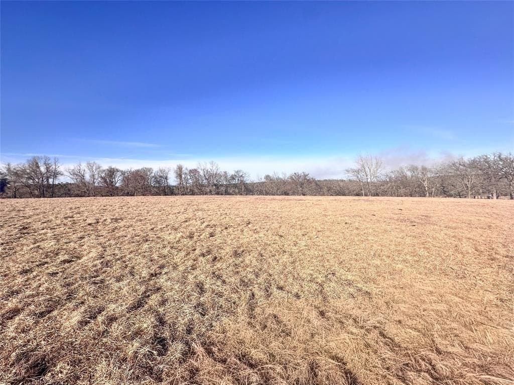16.7 acres in Henderson County - photo 19