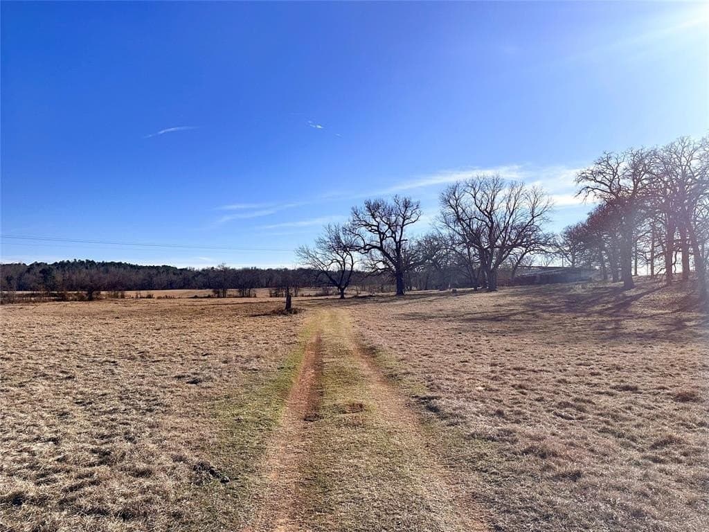 16.7 acres in Henderson County - photo 5