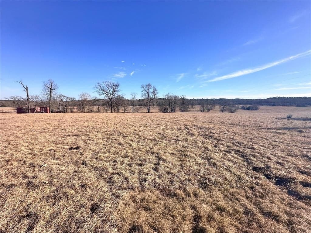 16.7 acres in Henderson County - photo 20