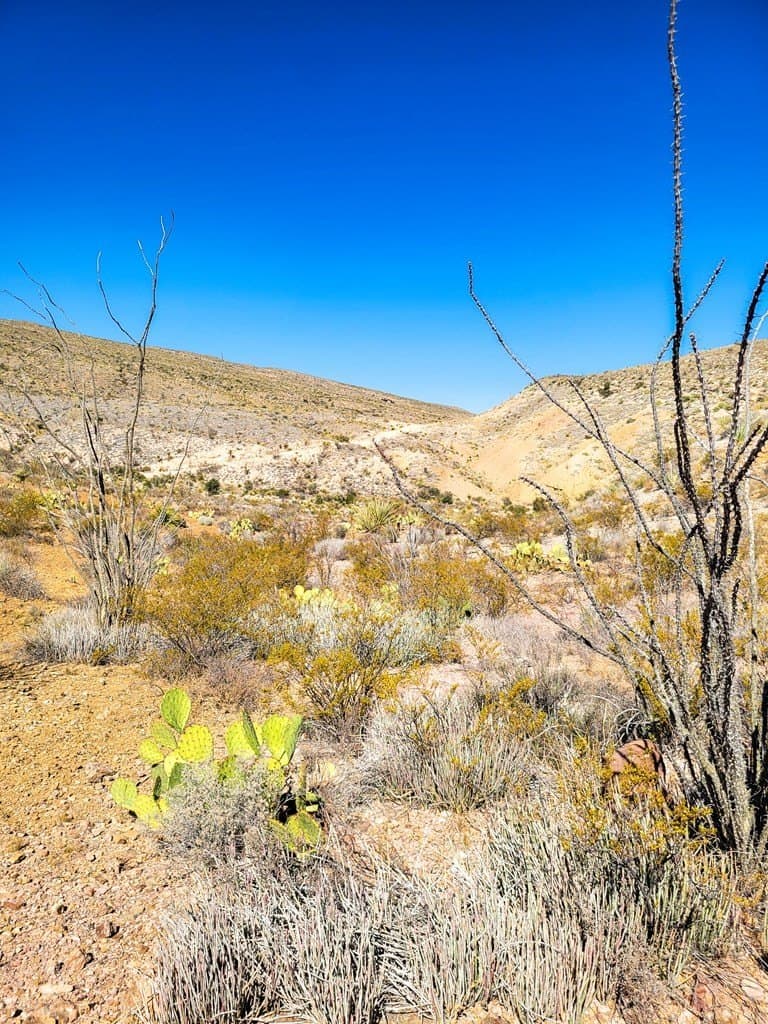 40 acres in Brewster County - photo 3