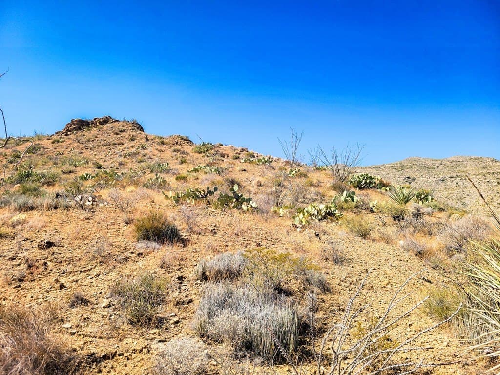 40 acres in Brewster County - photo 4