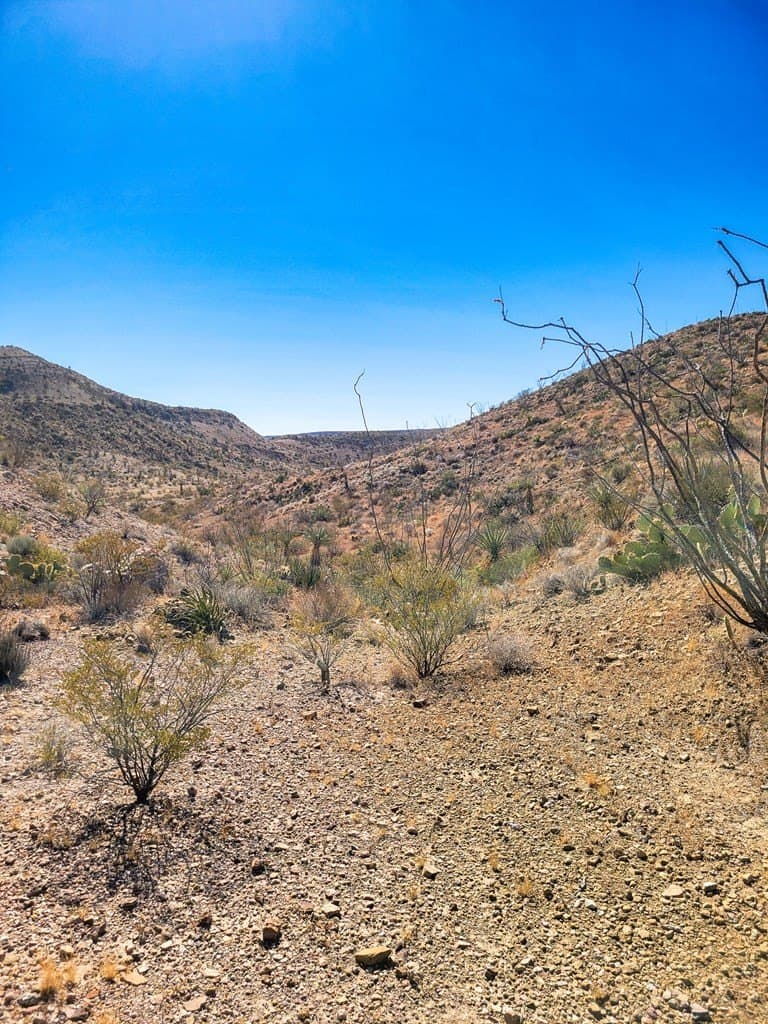 40 acres in Brewster County - photo 5
