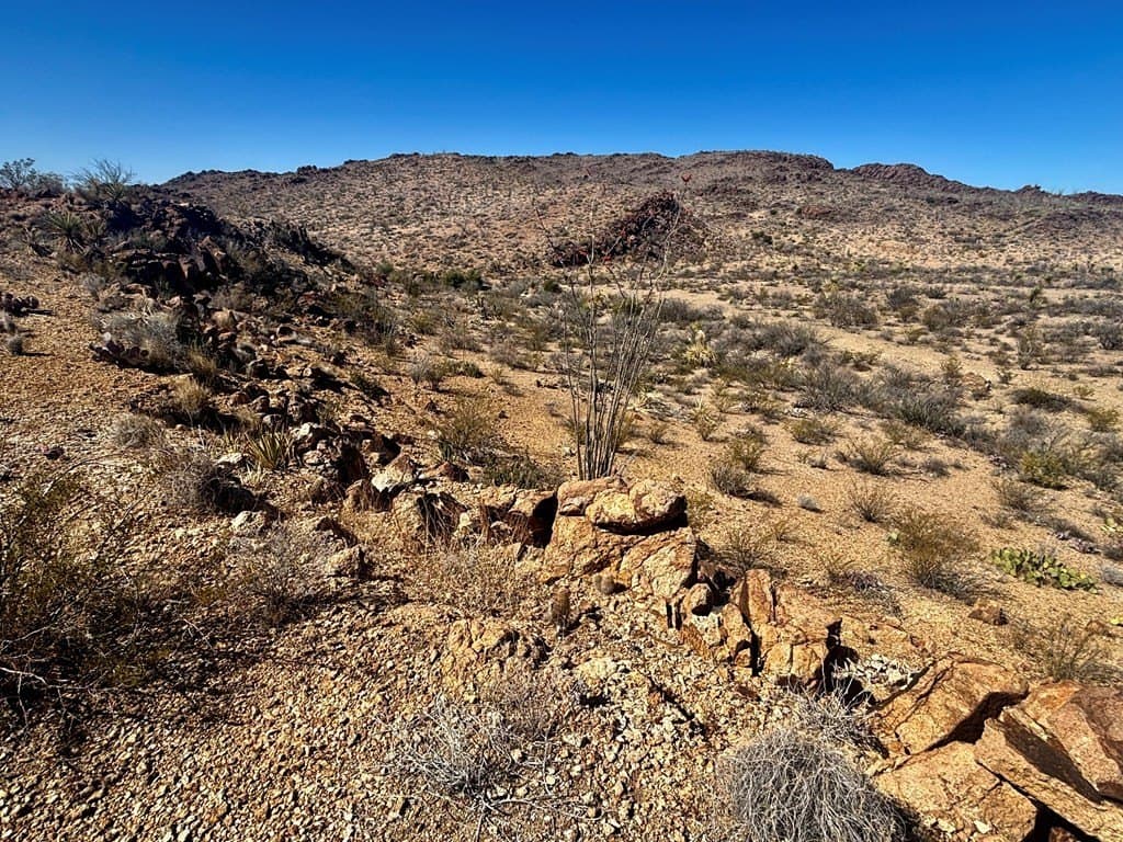 12.88 acres in Brewster County - photo 5