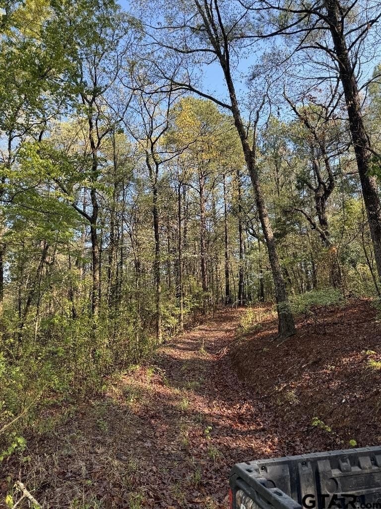 142.26 acres in Wood County - photo 44