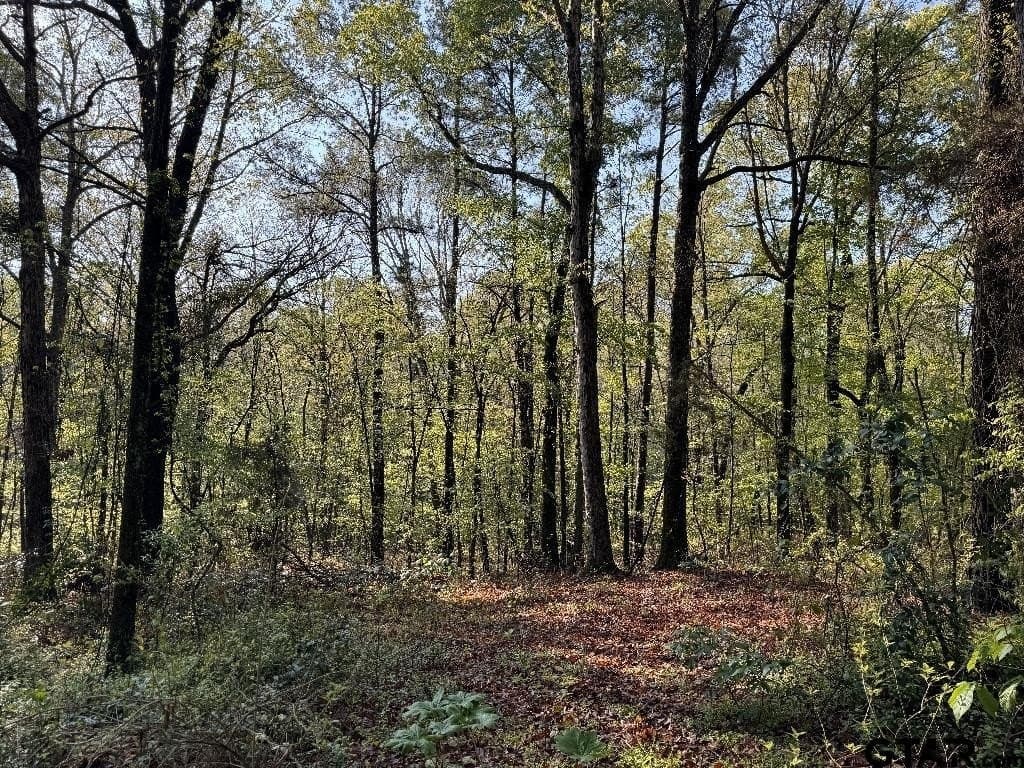 142.26 acres in Wood County - photo 45