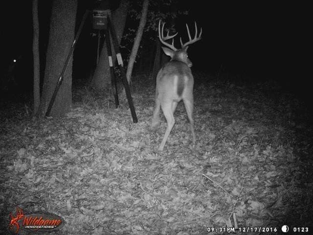 142.26 acres in Wood County - photo 42