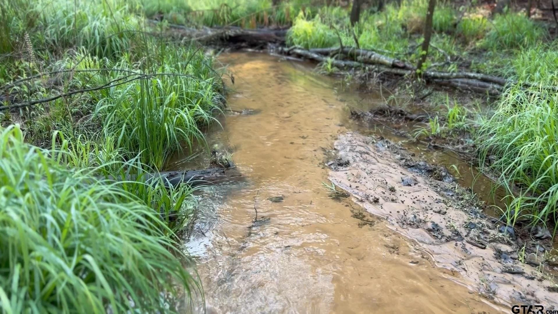 142.26 acres in Wood County - photo 41