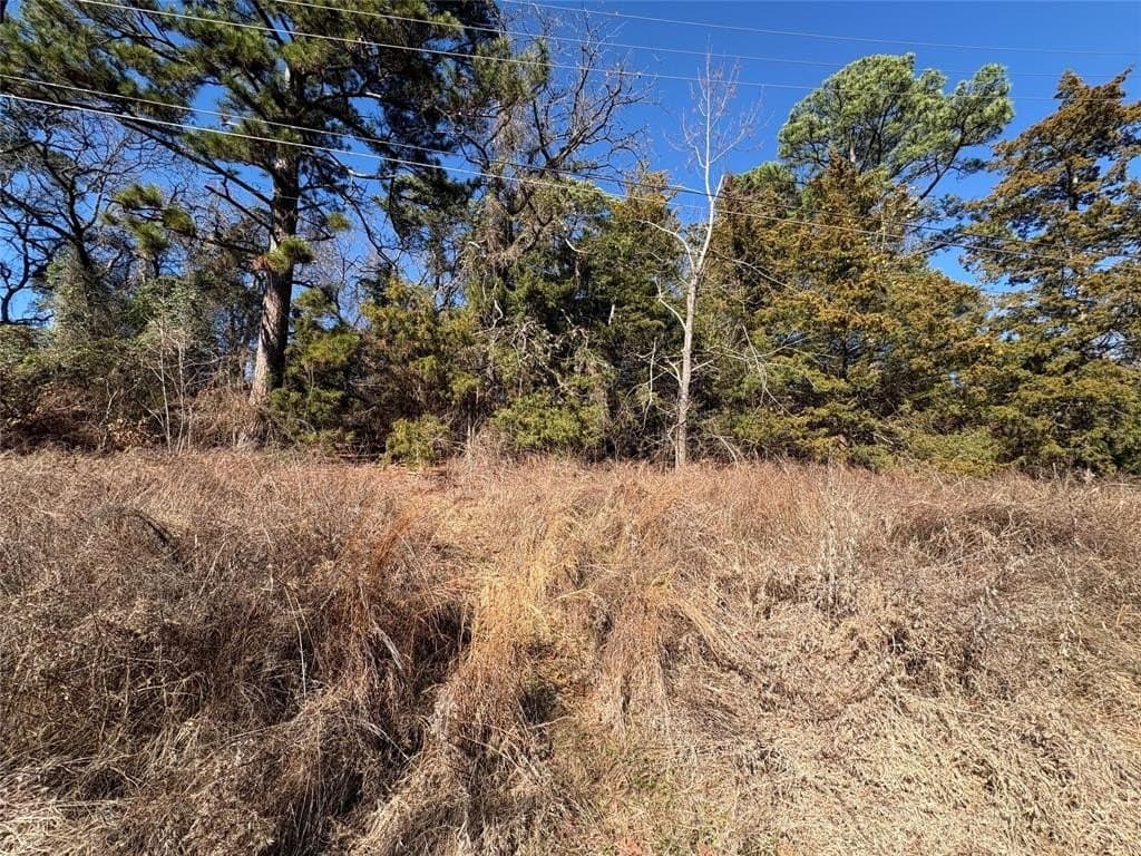 0.12 acres in Smith County - photo 8
