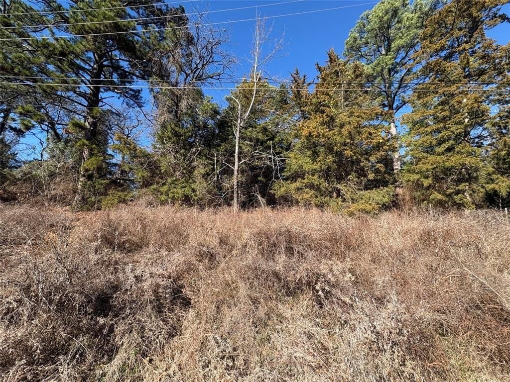 0.12 acres in Smith County - photo 7