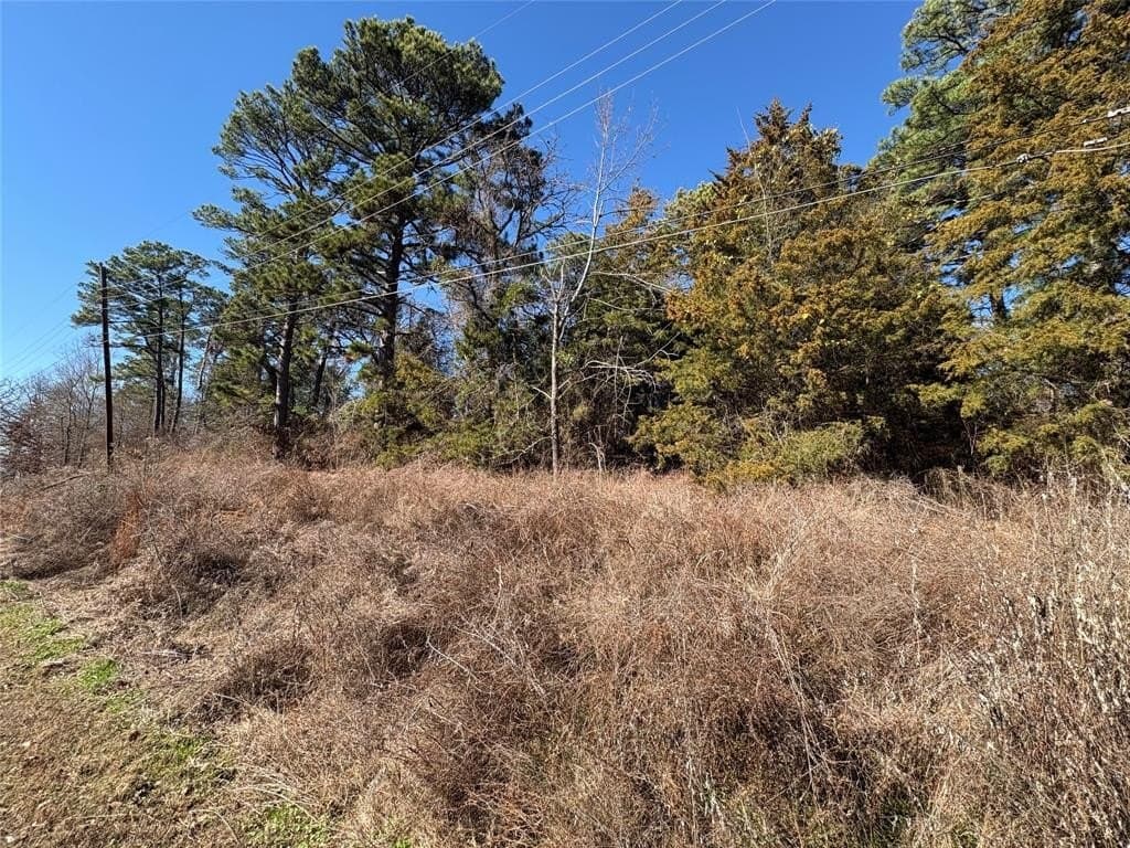 0.12 acres in Smith County - photo 6