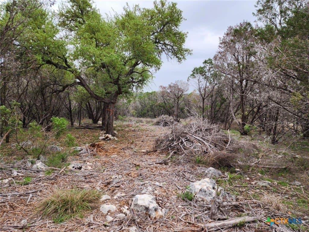 1.17 acres in Comal County - photo 3