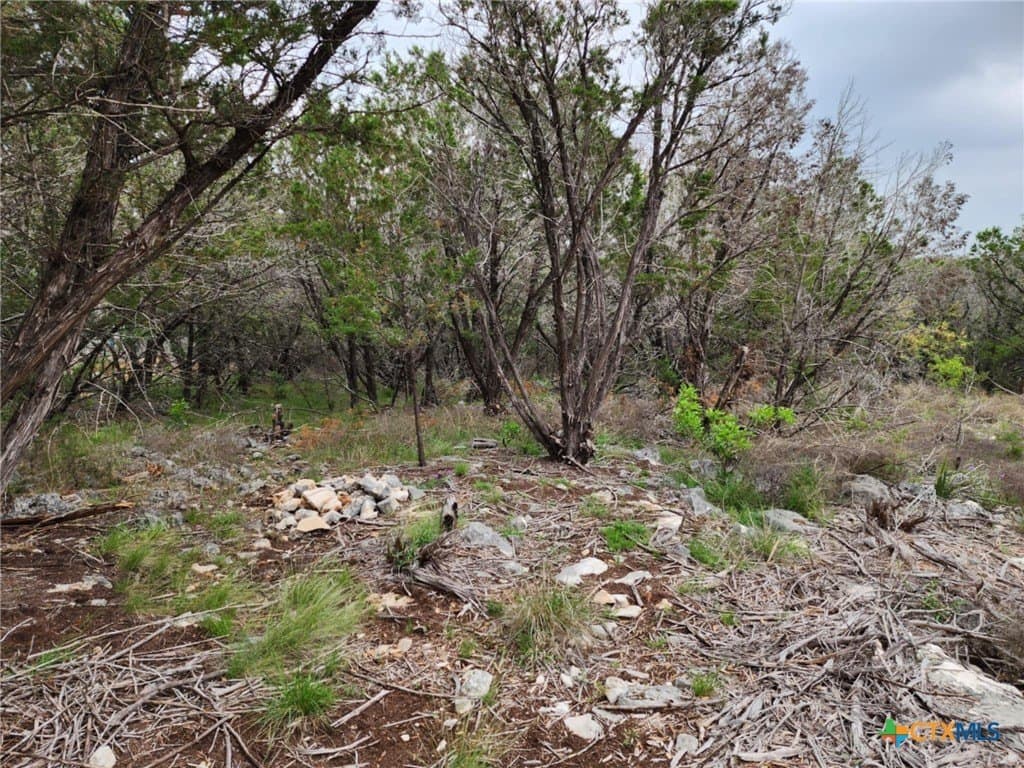1.17 acres in Comal County - photo 5