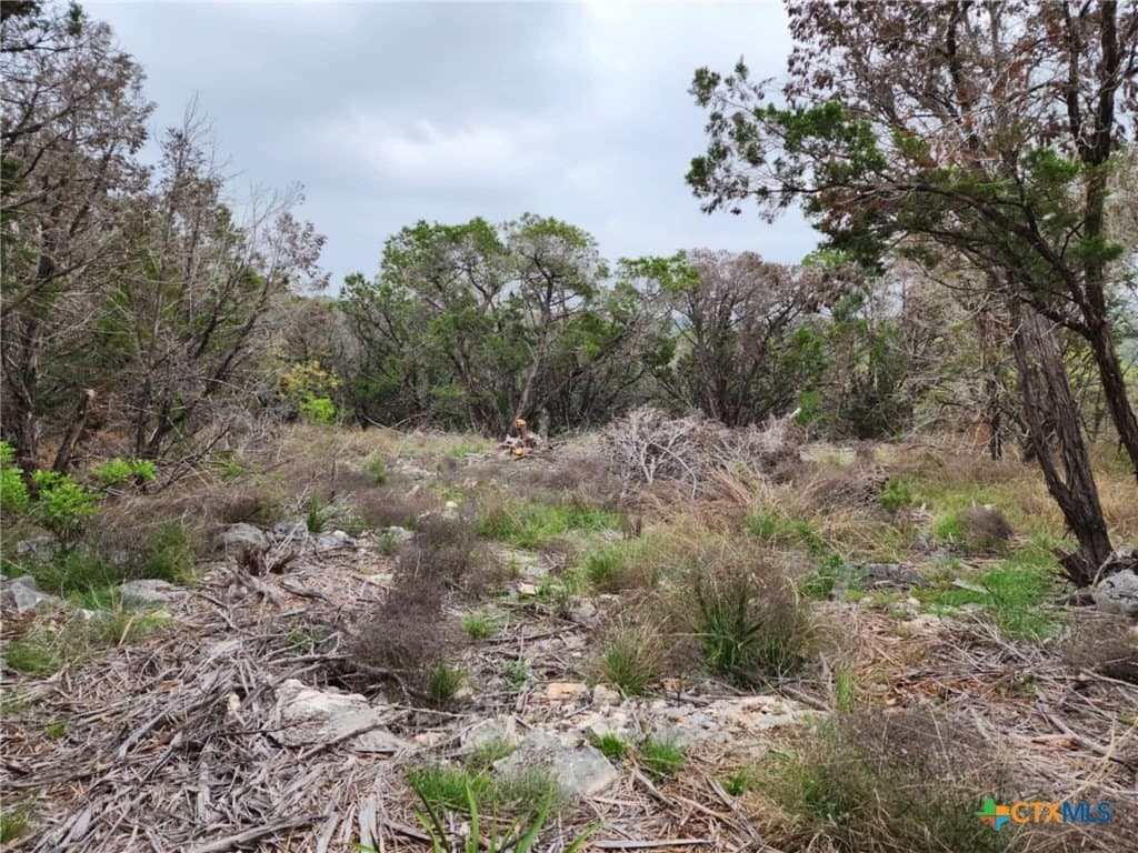 1.17 acres in Comal County - photo 10