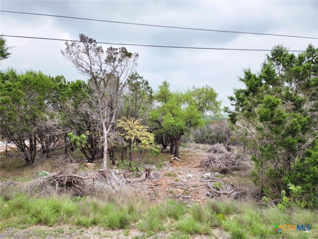 1.17 acres in Comal County - photo 4