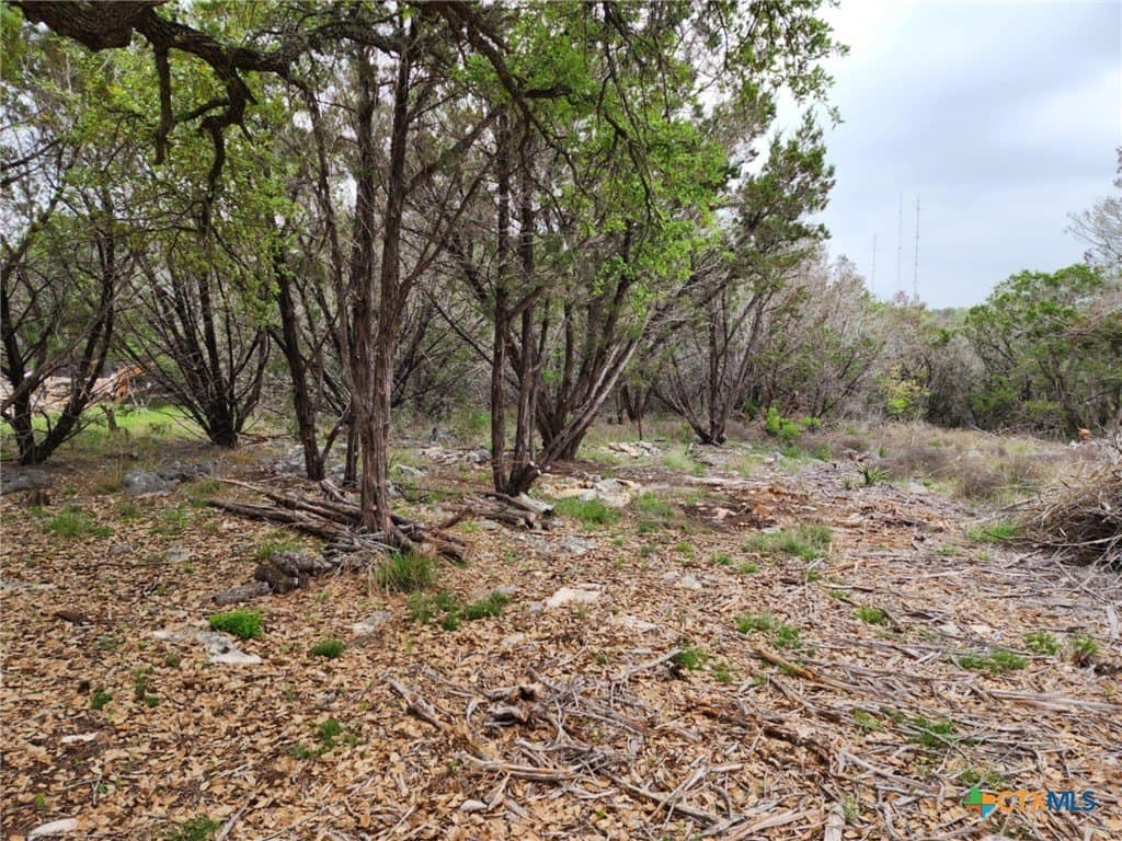 1.17 acres in Comal County - photo 6