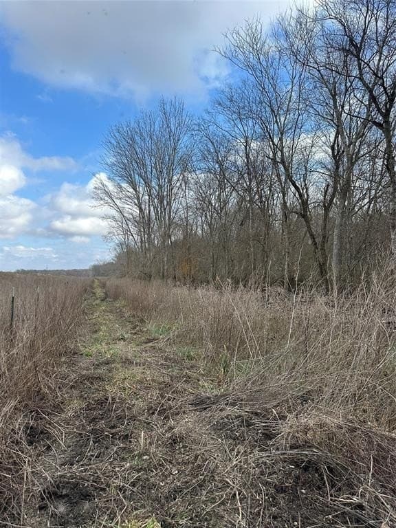 278 acres in Freestone County - photo 19