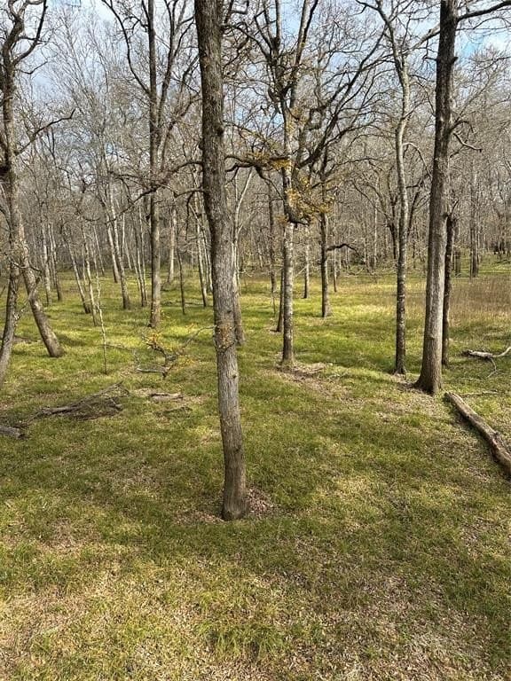 278 acres in Freestone County - photo 8