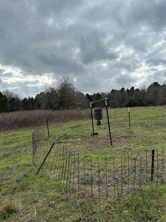 278 acres in Freestone County - photo 13