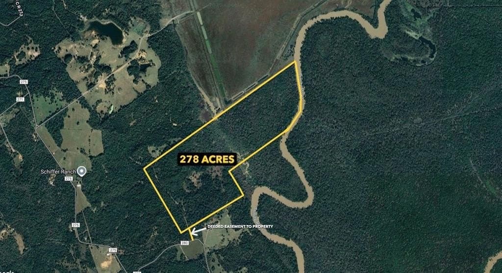 278 acres in Freestone County - photo 3