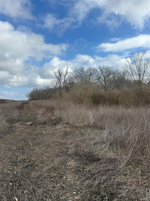278 acres in Freestone County - photo 18