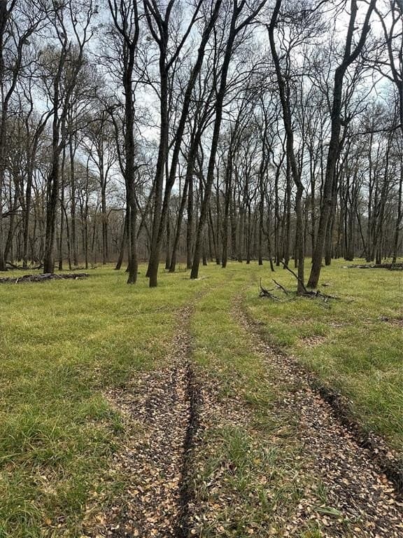 278 acres in Freestone County - photo 7
