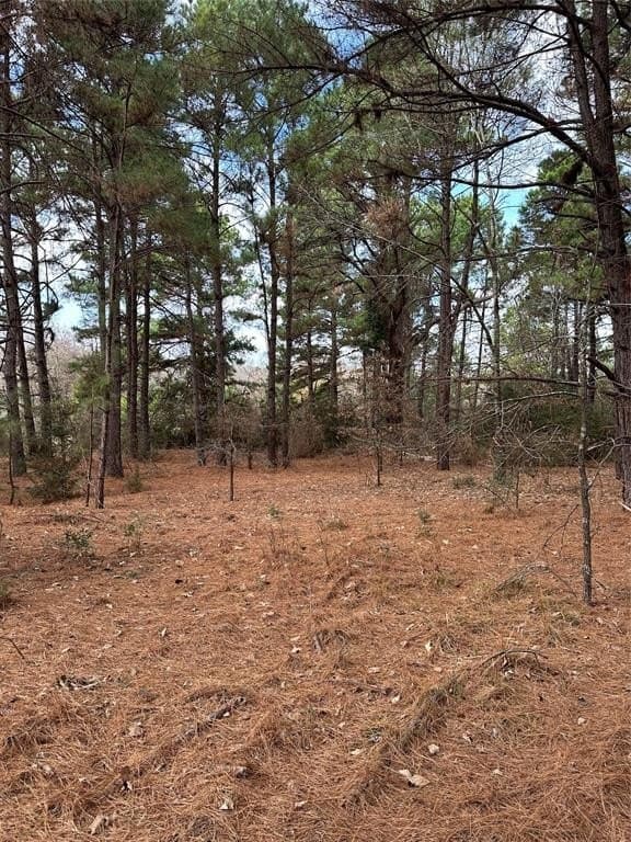 278 acres in Freestone County - photo 16
