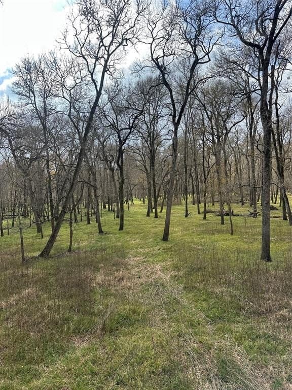 278 acres in Freestone County - photo 6