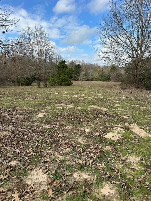 278 acres in Freestone County - photo 9