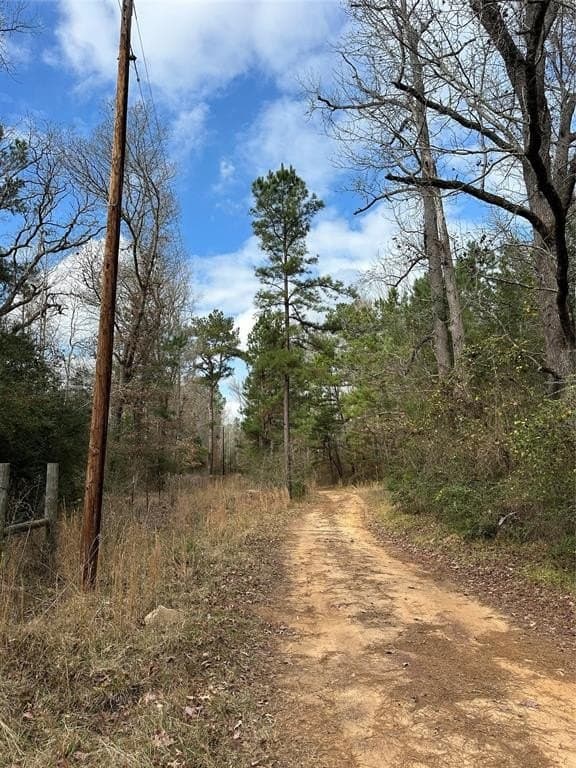 278 acres in Freestone County - photo 4