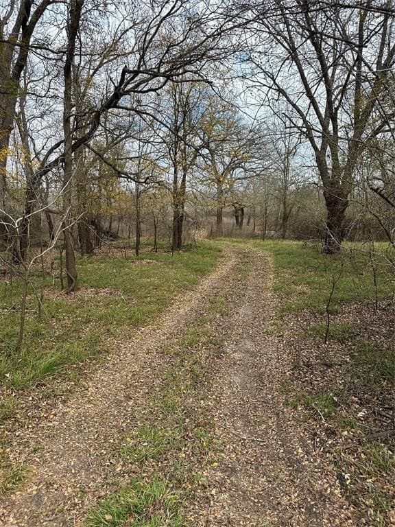 278 acres in Freestone County - photo 5