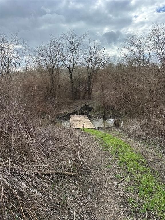 278 acres in Freestone County - photo 17